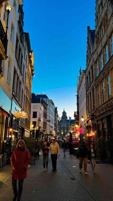 Cozy Antwerp - Cityview Studio Free Parking Екстер'єр фото